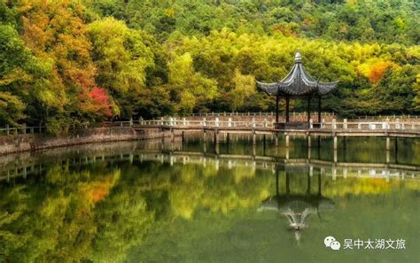 旺山是什么意思|旺山景区